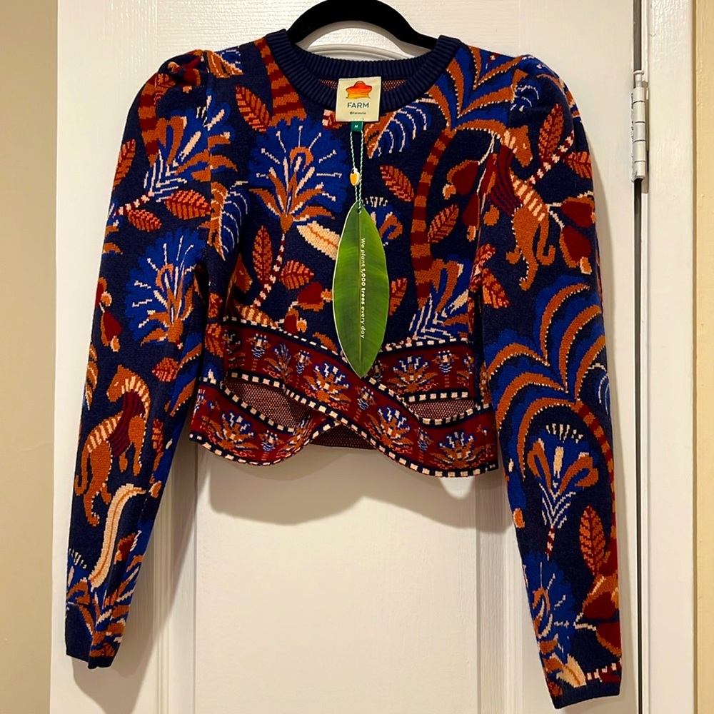 Designer Farm Rio Nature, beauty blue sleeve  crop top sweater.